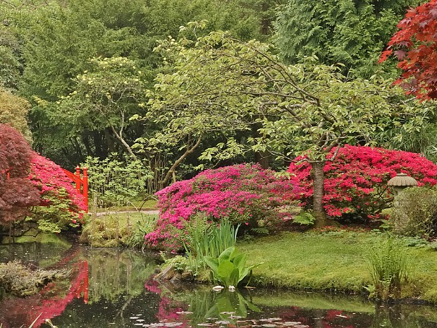 02-05-2024 Japanse Tuin Clingendael