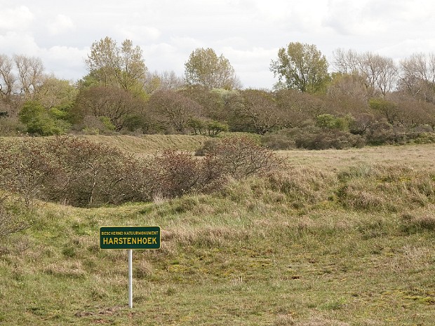 26-04-2024 Harstenhoek