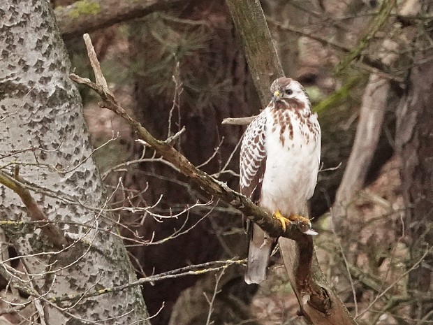 Natuur 2024-01