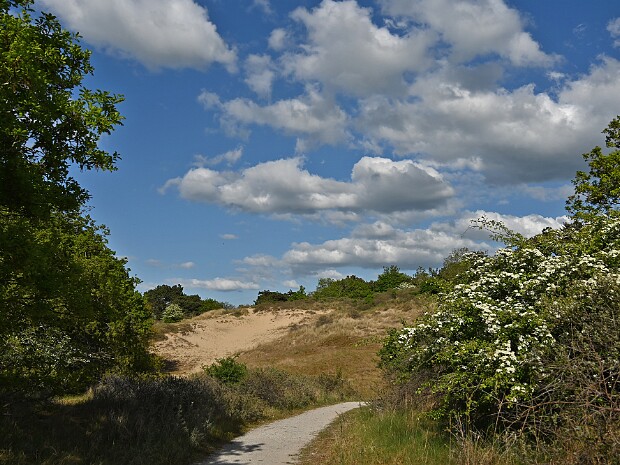 05-05-2025 Waalsdorpervlakte