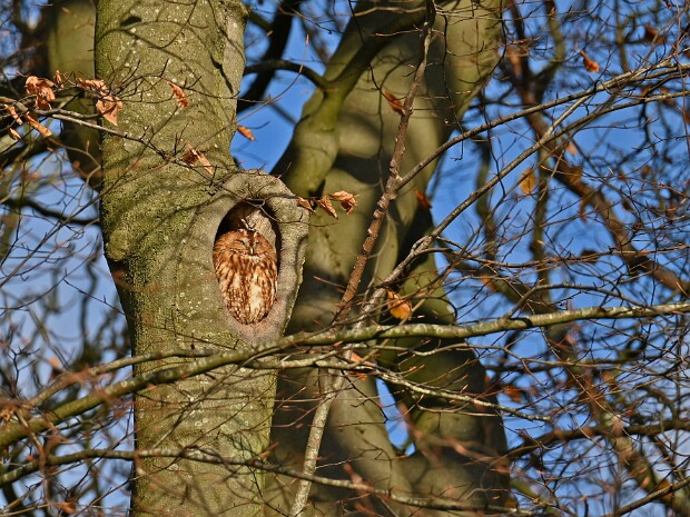 30-11-2025 Rondje V'schoten - Wassenaar