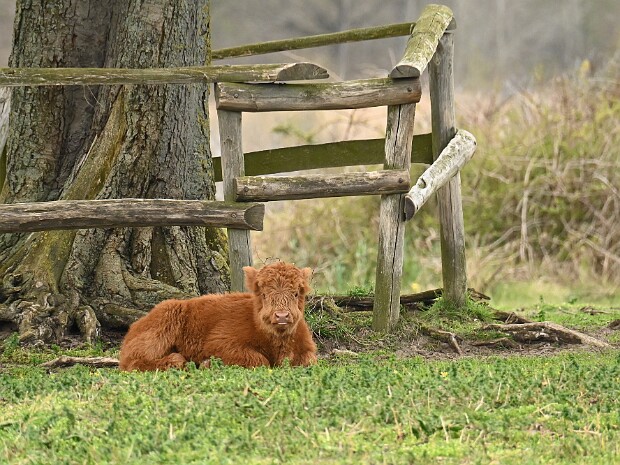 01-04-2026 Lentevreugd