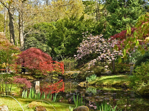 23 en 24-04-2026 Clingendael en Japanse Tuin