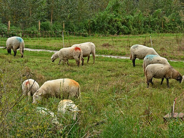 30-09-2026 Leidschendam